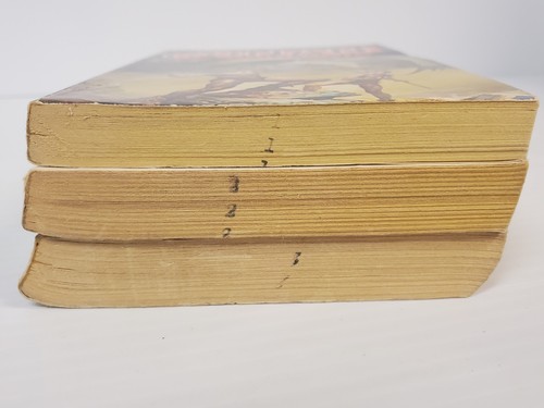 Lot 3 paperbacks Robert E Howard CONAN-The Wanderer, The Conqueror, Of Aquilonia - Picture 12 of 15