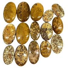 15 Pcs Natural Ocean Jasper 27-46mm Huge Pendant Size Loose Untreated Gemstones