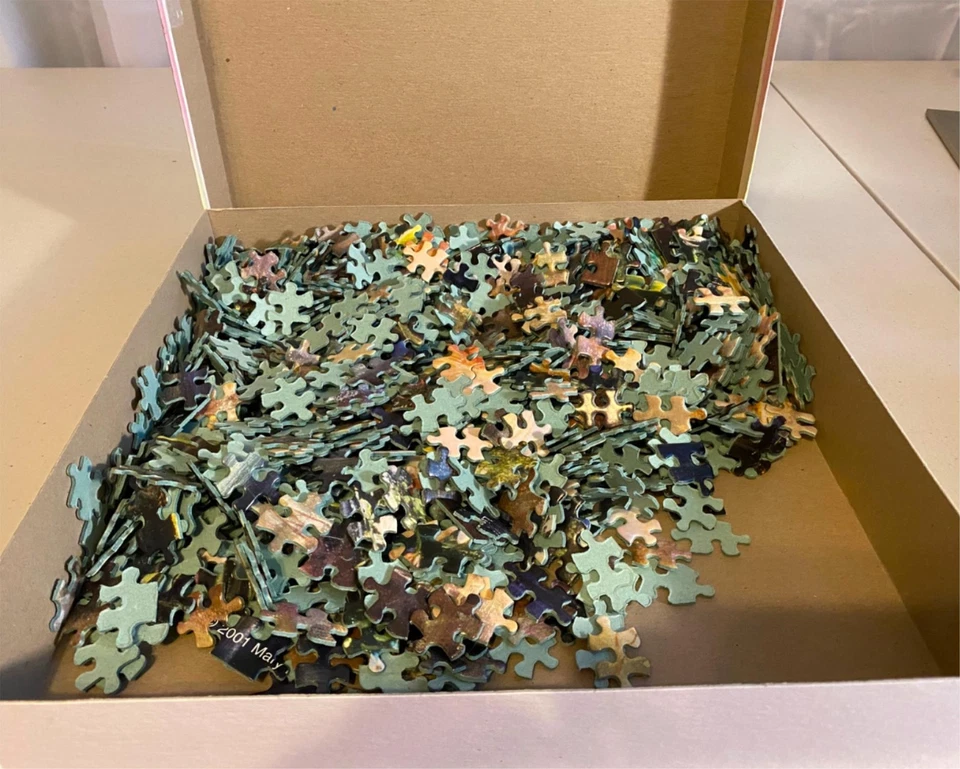 Rompecabezas The Wishing Pool 1000 piezas usado Foto 2 de 3