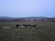 Photo A2 A Mooid gathering Stanton Drew Stanton Drew stone circles are b c2021