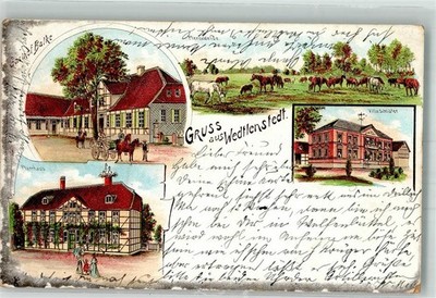 13653589 - 3303 Wedtlenstedt lithograph horse pasture rectory Villa Schueter