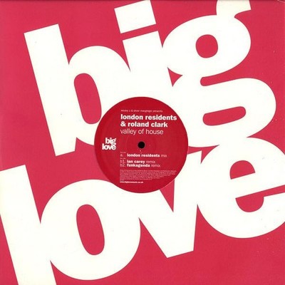Wesley S - Valley Of House, 12'', (Vinyl)