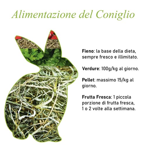 Erba Medica (Alfalfa) 1kg | Fieno Ricco di Fibre, Proteine e Calcio | Conigli - Foto 3 di 4