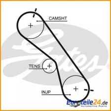 Timing Belt PowerGrip® GATES 5560XS for Toyota Hiace IV Bus