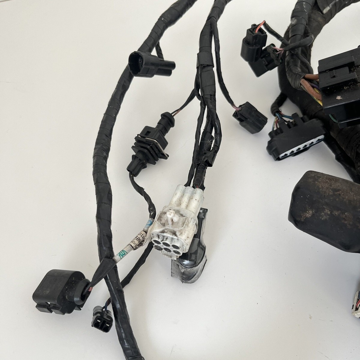 18 2016-2020 Triumph Street Twin 900 Wiring Loom Wire