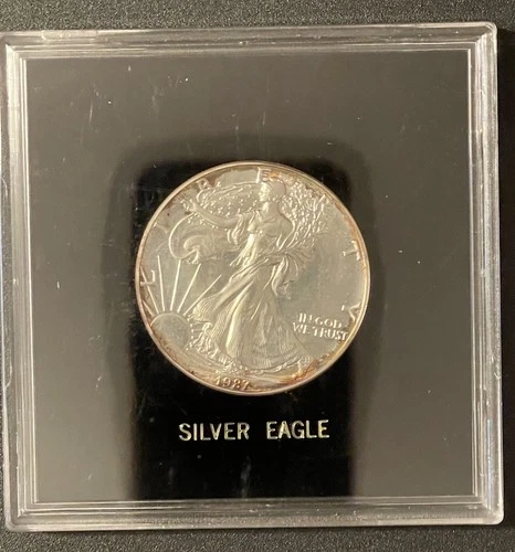 U.S. Mint American Eagle 1987 1 oz .999 Fine Silver Coin in Display Case - Toned