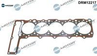 Dr.Motor Automotive DRM12217 Dichtung FüR Zylinderkopf Dichtung