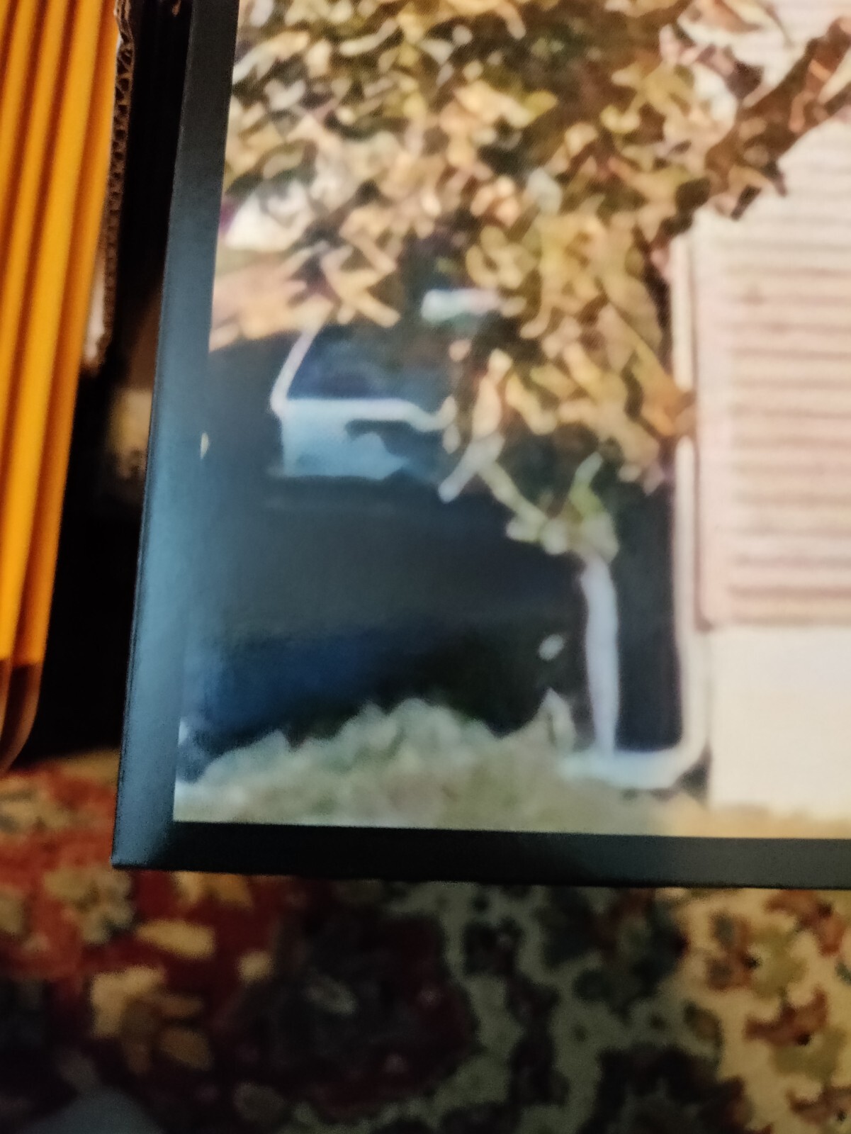Picture 6 of 11