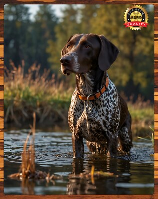 German Shorthaired Pointer - The Hunt - Ducks Unlimited - Metal Sign 11 x 14