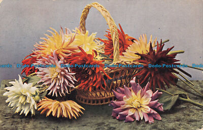 R133597 Dahlia Variabilis. Rommler. Wildt und Kray