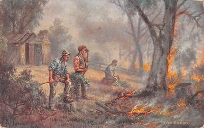 Postcard fantasy / postcard fantasy representing a scene with a burning forest