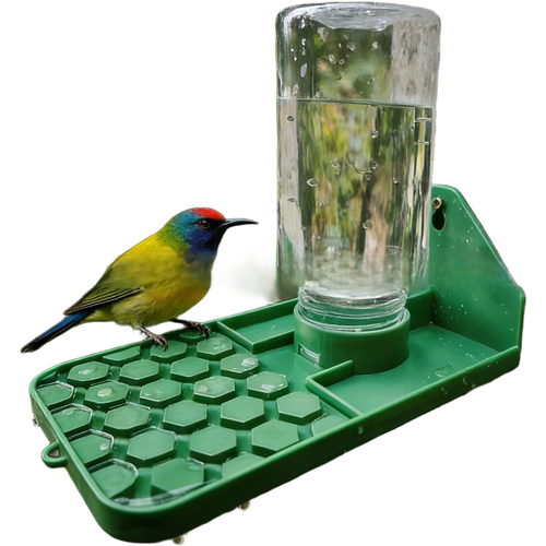 Grün für Outdoor Wasserspender für Käfer - FÜR PLA verdickte Nut Design