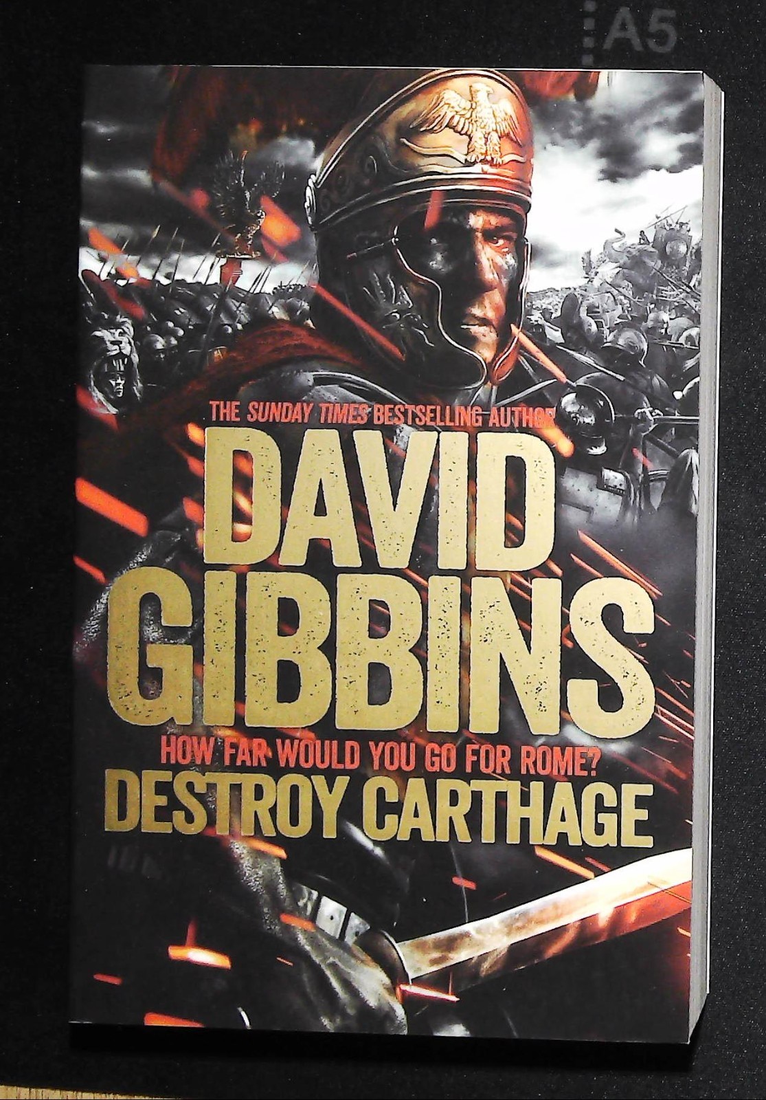 Destroy Carthage Book NEW Paperback