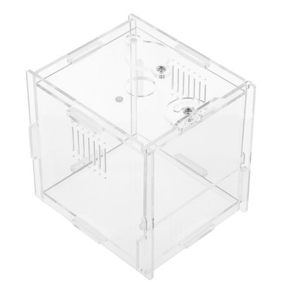 Small Reptile Tank Insect Spider Terrariums Gecko Jumping Enclosure Kit