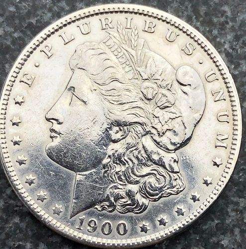 1900-P Morgan Silver Dollar Absolutely Super Fine Detail 7 Tell Feathers 110