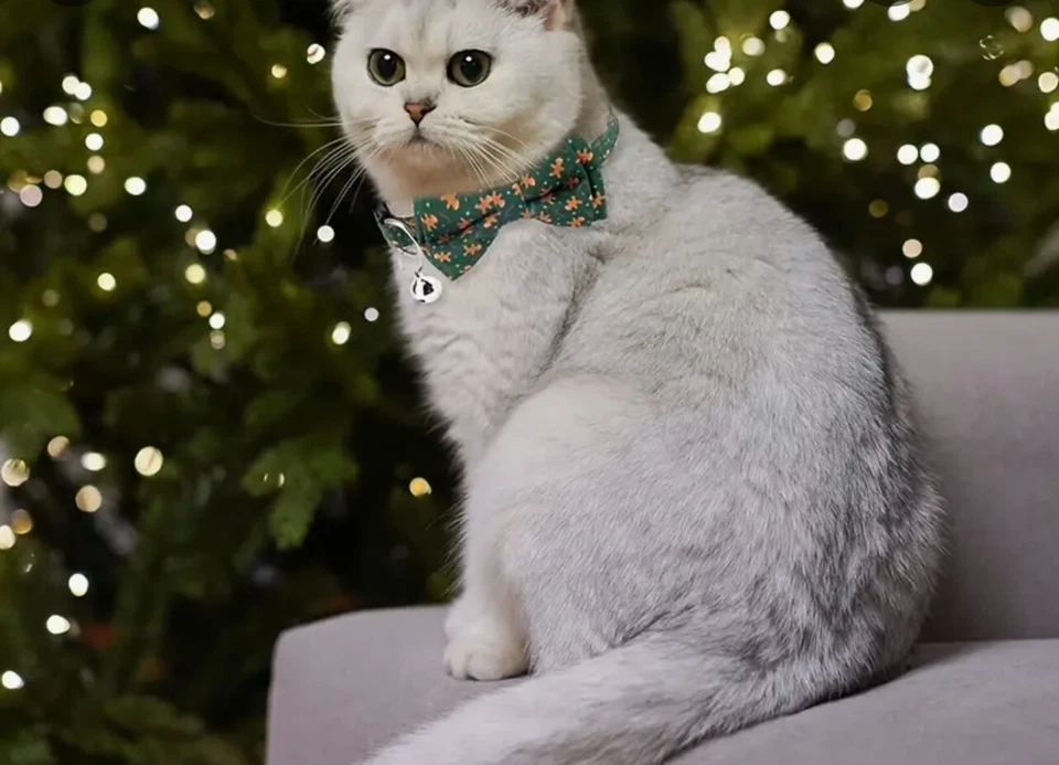 Ropa para mascotas para perros y gatos vacaciones y todos los días - pajaritas y collares Foto 2 de 4