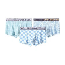 Sexy Men's Breathable Ice Silk Boxer Briefs Youth Antimicrobial Mesh Underwear