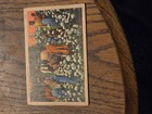 DOWN WHERE THE COTTON BLOSSOMS GROW POSTCARD 1949 PICKING SCENE FAMILY FIELD — photo 3