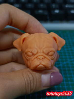 1:6 1:12 1:18 Pug Puppy Dog Pets Head Sculpt For 12'' Male Action Figure Body Toy