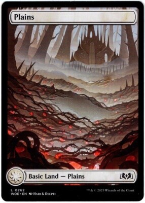 Plains - Full Art - #262 - Wilds of Eldraine - NM MTG