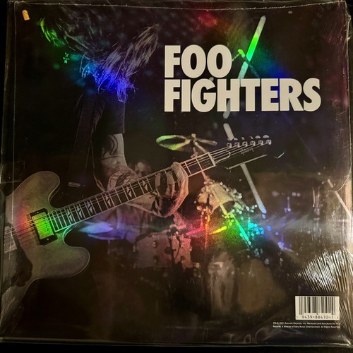 Foo Fighters Dee Gees - Hail Satin Limited Record Store Day 2021 RSD Vinyl LP - Picture 2 of 4