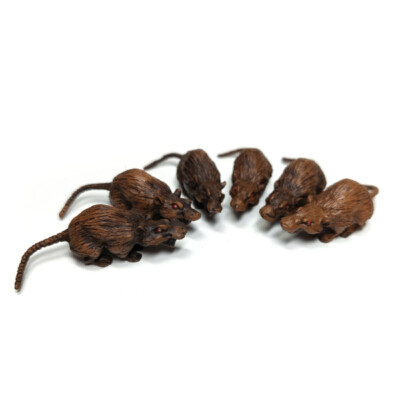 Giant Rats - Hand Painted x6 / Miniature Accessories / Gaming Terrain / Dioramas