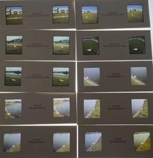 Lots Of 10 Stereo Transparencies Ducks