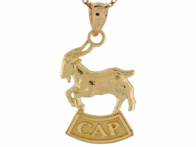 10k oder 14k Echt Gelbgold 1,27cm Steinbock Astrologisch Sternzeichen Charm Anhänger