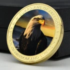 Animal Golden Challenge Coin US National Bird Bald Eagle Commemorative Medal