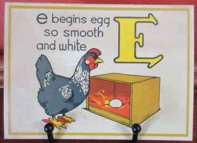 Vintage ''E'' FLASH Card GRAY CHICKEN & EGG in Laying Box Cardboard 4.5'' x 6.5''