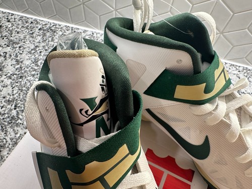 NEW - Nike LeBron Zoom Soldier VI - "SVSM Home" - Size 12 - Picture 2 of 4