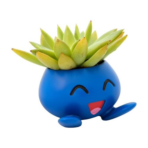 Oddish Pokemon Planter Pot 4" - Anime Succulent Plant Flowerpot | Anime Gift - Picture 2 of 8