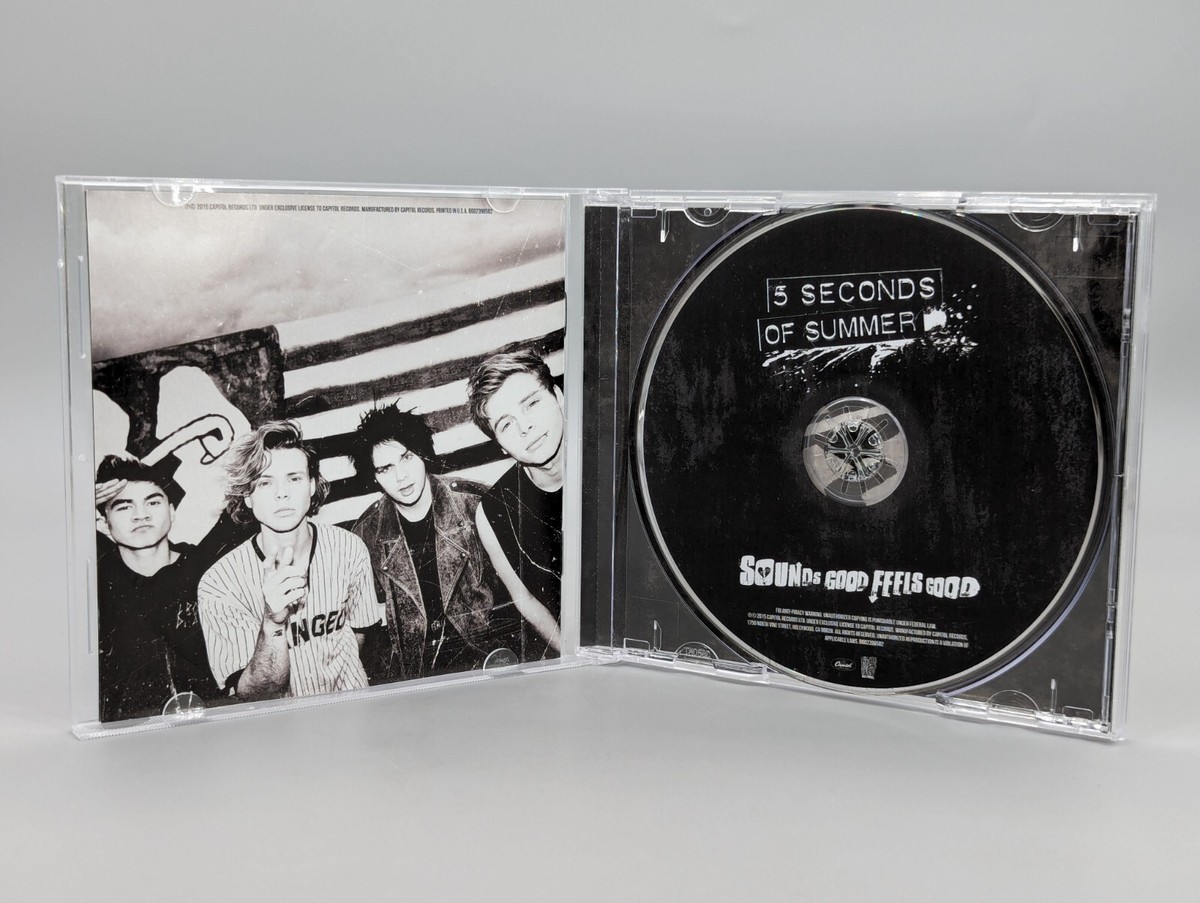 5 Seconds of Summer Sounds Good Feels Good Luke Cover