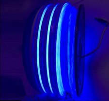 DC12V Blue Silicone LED Neon Rope Light, Waterproof for Indoor  Outdoor Deco...