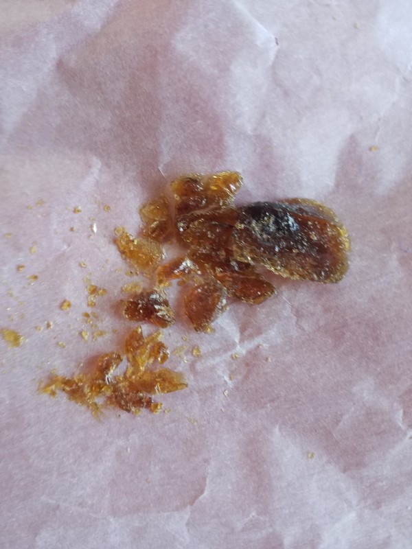 Pine Tree Sap/Resin/Pitch. 100% Pure, 1.75 lbs
