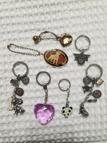 Lot of 6 Vintage to Modern Keychains Collectibles Dog Key Ring Mix Tag Bundle - Picture 9 of 11