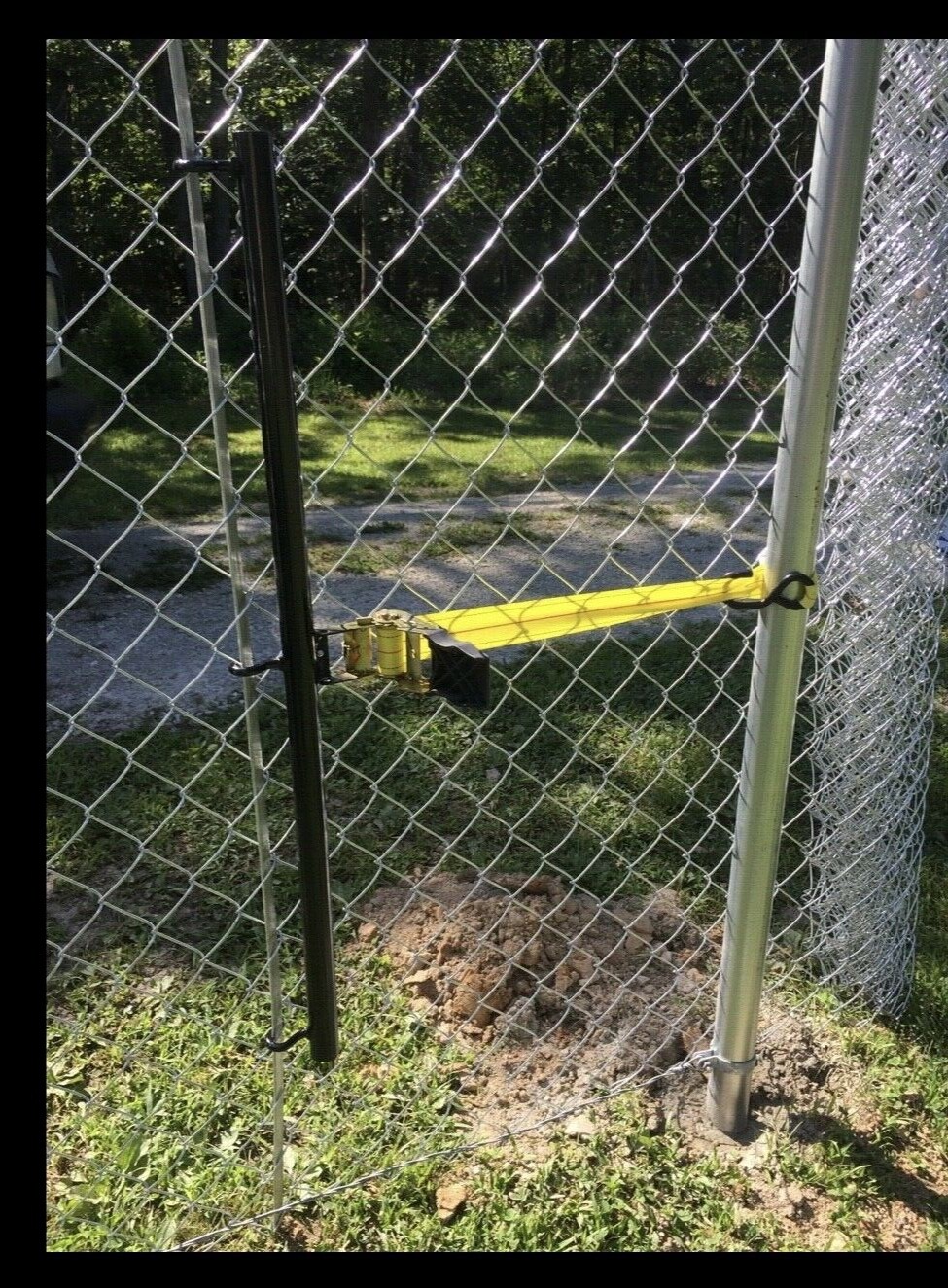 Picture 4 of 5