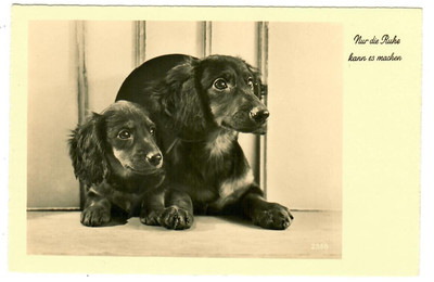 Postcard Dogs, Dachshund with Puppy ''Only Rest Can Do It'', 30683