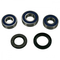 Radlager Satz Hinten 25-1386 FüR Kawasaki Zx-9R 900 D Ninja Kat 1998-1999