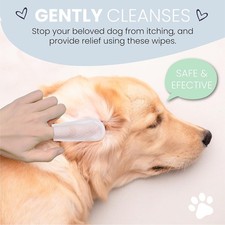 Hypoallergenic Dog Ear Finger Wipes Alcohol-Free Puppy Cleaning 70 Pack