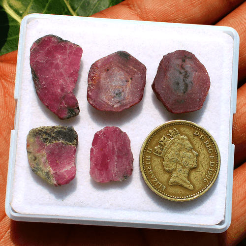 5 Pcs Natural Watermelon Ruby Untreated 15.2mm-24mm Rough Slice Loose Gemstones - Picture 12 of 14