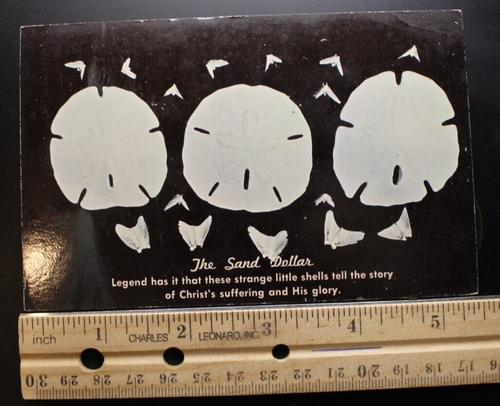 Legend of the Sand Dollar RPPC Postcard 5.5x3.5" 1965 Christian Religious Vtg - Picture 3 of 4