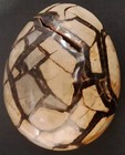 Foto 2 di 6