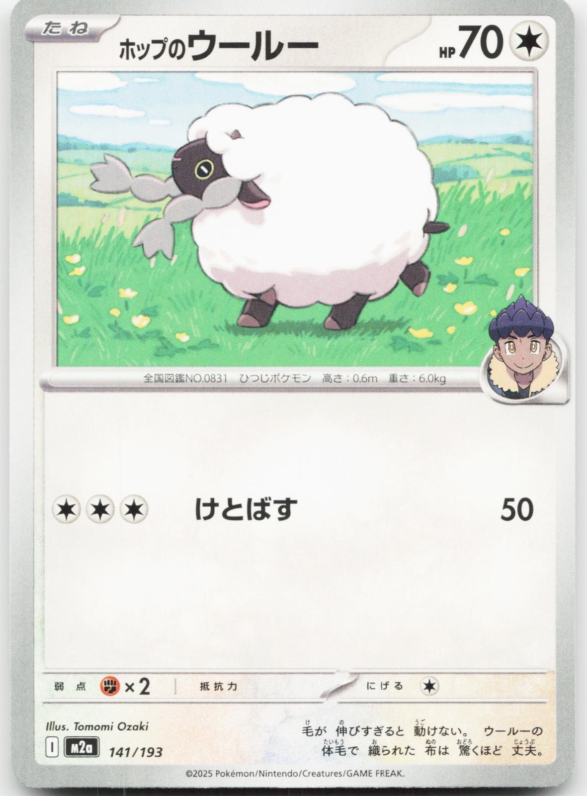 Hop's Wooloo 141/193 MEGA Dream ex Pokemon Japanese Near Mint