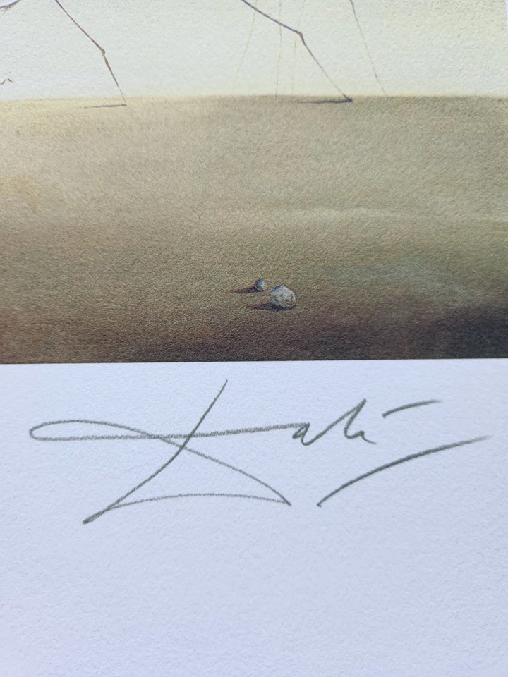 SALVADOR DALI The Temptation of St. Anthony HAND #'d PLATE SIGNED LITHOGRAPH art - Image 3 of 4