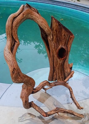 Large Driftwood Manzanita aquascape aquarium Terrarium  Bonsai 26''×20''×17''