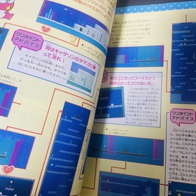 Yume Kojo Doki Doki Panic Strategy Guide Paper Nintendo Famicom Disk Syatem