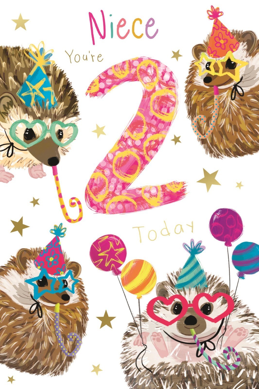 2nd Birthday Card for Niece  Hedgehog Party Design  15x23cm Insert