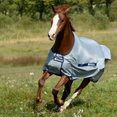 Bucas Buzz-Off Classic Cut - silver/blue - Fliegendecke