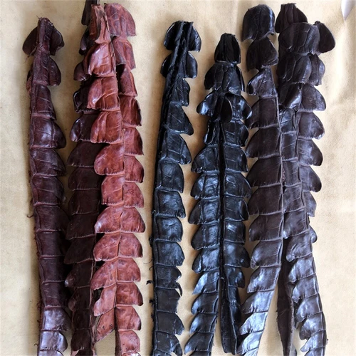 2pcs Genuine Real Alligator Crocodile Skin Leather Hide Pelts DIY Accessories - Picture 2 of 18